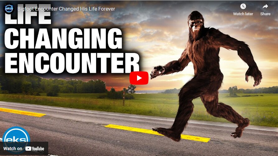 Bigfoot Encounter Changed His Life Forever