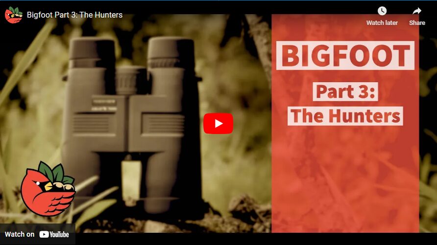 Bigfoot Part 3: The Hunters