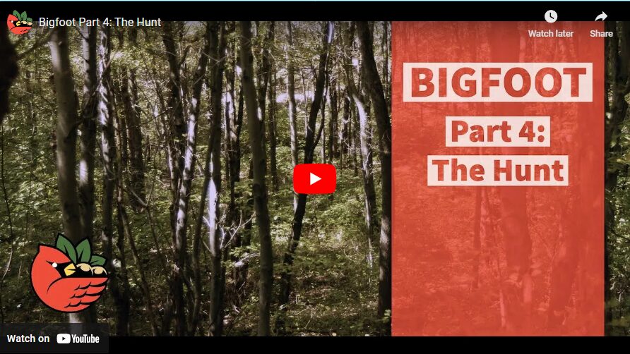 Bigfoot Part 4: The Hunt