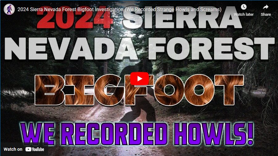 2024 Sierra Nevada Forest Bigfoot Investigation