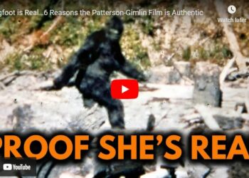 Bigfoot is Real…6 Reasons the Patterson-Gimlin Film is Authentic