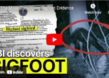 The Most Convincing Bigfoot Evidence