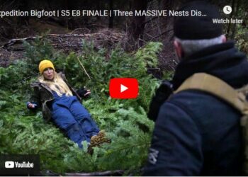 3 Nest found in the forests of California