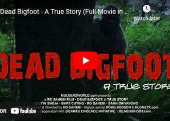 Dead Bigfoot - A True Story (Full Movie in HD feat. Justin Smeja)