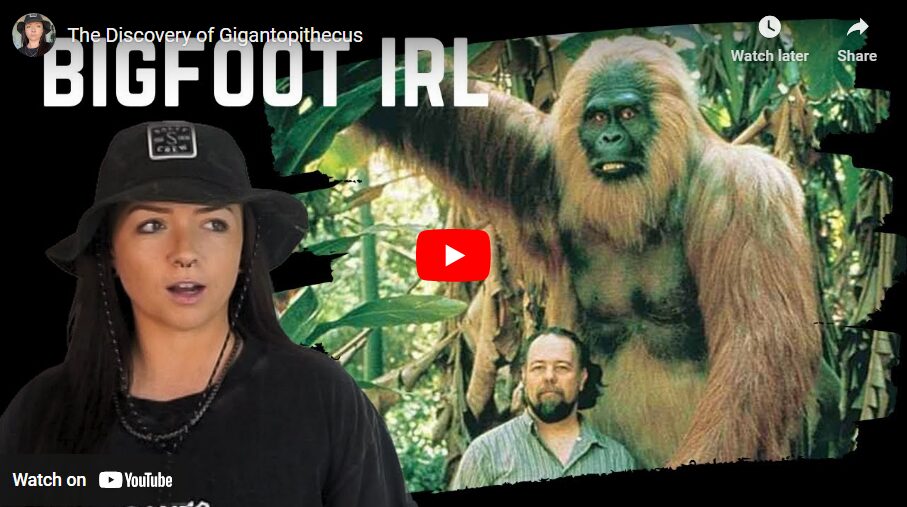 The Discovery of Gigantopithecus