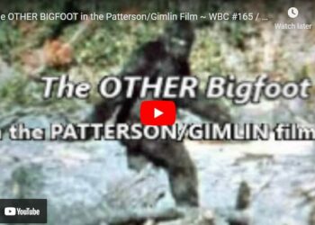 the other Bigfoot in the Patterson Gimlin Film