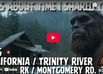 It's About Time I Shared This California Bigfoot Society 705