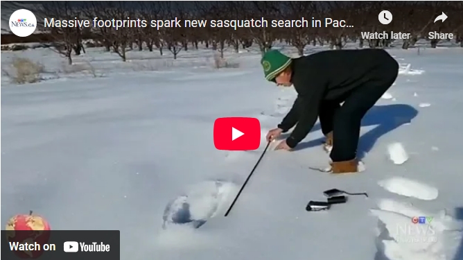 Looking into extremely large footprints