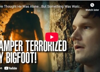Half-Missing Body Found in Swamp, Experts Reveal Bigfoot’s TERRIFYING Role in This Unsolved Mystery!