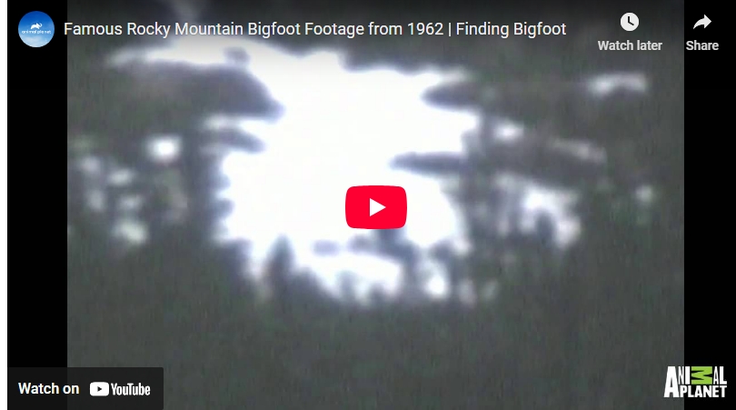 It predates the more well-known Patterson-Gimlin film by five years and has been featured in discussions and analyses, including on the show Finding Bigfoot.