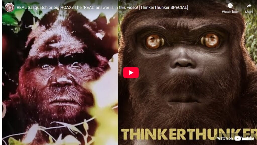 REAL Sasquatch or big HOAX? The "REAL" answer is in this video! [ThinkerThunker SPECIAL]