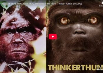 REAL Sasquatch or big HOAX? The "REAL" answer is in this video! [ThinkerThunker SPECIAL]