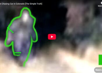 Bigfoot Chasing Car in Colorado [The Simple Truth]