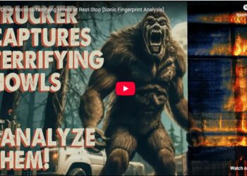 Truck Driver Records Terrifying Howls at Rest-Stop [Sonic Fingerprint Analysis]