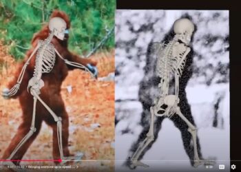 Roger Patterson vs Bob H (Who LIED?)