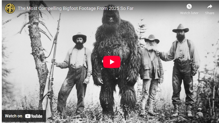 Compelling Bigfoot Footage 2025: The Most Convincing Sighting Yet! Explore what many are calling the most compelling and convincing Bigfoot footage captured in 2025 so far, sparking new debate among believers and skeptics alike.