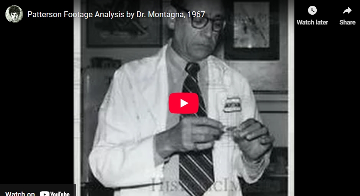 My analysis on a less known analysis of the Patterson Film points out highly flawed logic and bad reasoning that played an important role in dismissing this film as fake. Let me show you why this 1960's attitude never gave this film a chance.