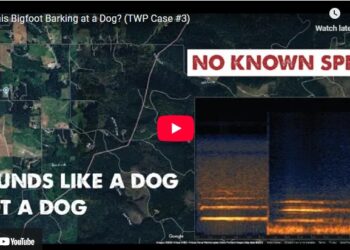 In our 3rd Bigfoot encounter & recording submitted to the Whoop Project, a vocalization recorded on a private property in Colton Oregon "sounds like" a dog, but matched up with a surprising source. (See near the end)