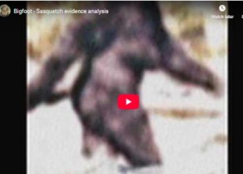 Bigfoot - Sasquatch evidence analysis
