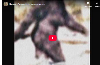 Bigfoot - Sasquatch evidence analysis