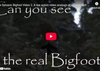 Voice commentary by Todd Standing Former Coast to Coast AM Guest. Watch Todd's Second video of a Sasquatch he filmed in 2006.
