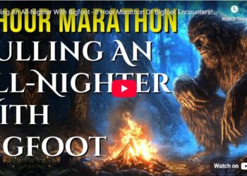 Pulling An All-Nighter With Bigfoot - 8 Hour Marathon Of Bigfoot Encounter