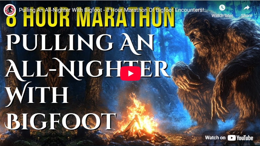 Pulling An All-Nighter With Bigfoot - 8 Hour Marathon Of Bigfoot Encounter
