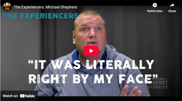 The Experiencers: Michael Shepherd