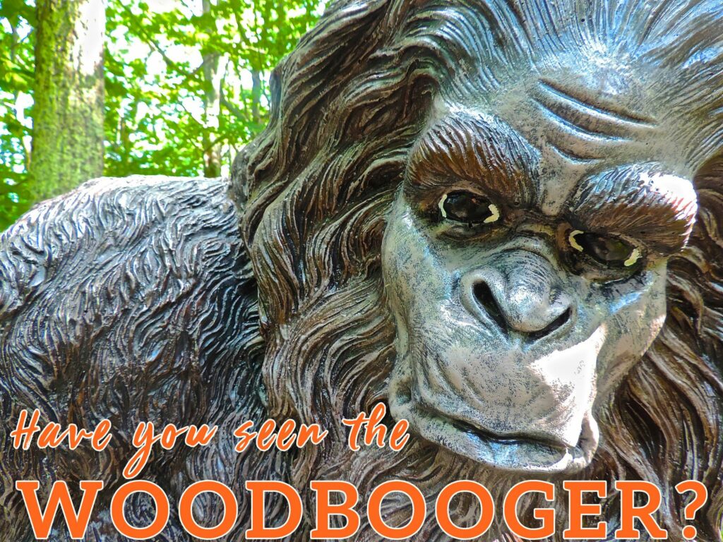 Woodbooger