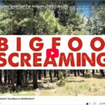 This encounter, recorded near Bear Creek on a camping trip, captured some bizarre, distant vocalizations that I donate to a train whistle, all known, large species in North America to see if any match.
