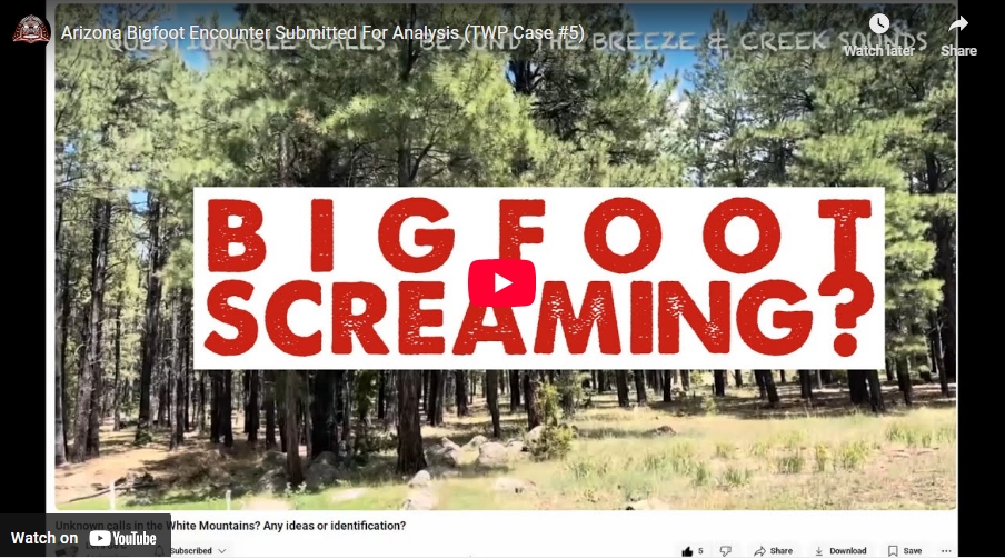 This encounter, recorded near Bear Creek on a camping trip, captured some bizarre, distant vocalizations that I donate to a train whistle, all known, large species in North America to see if any match.