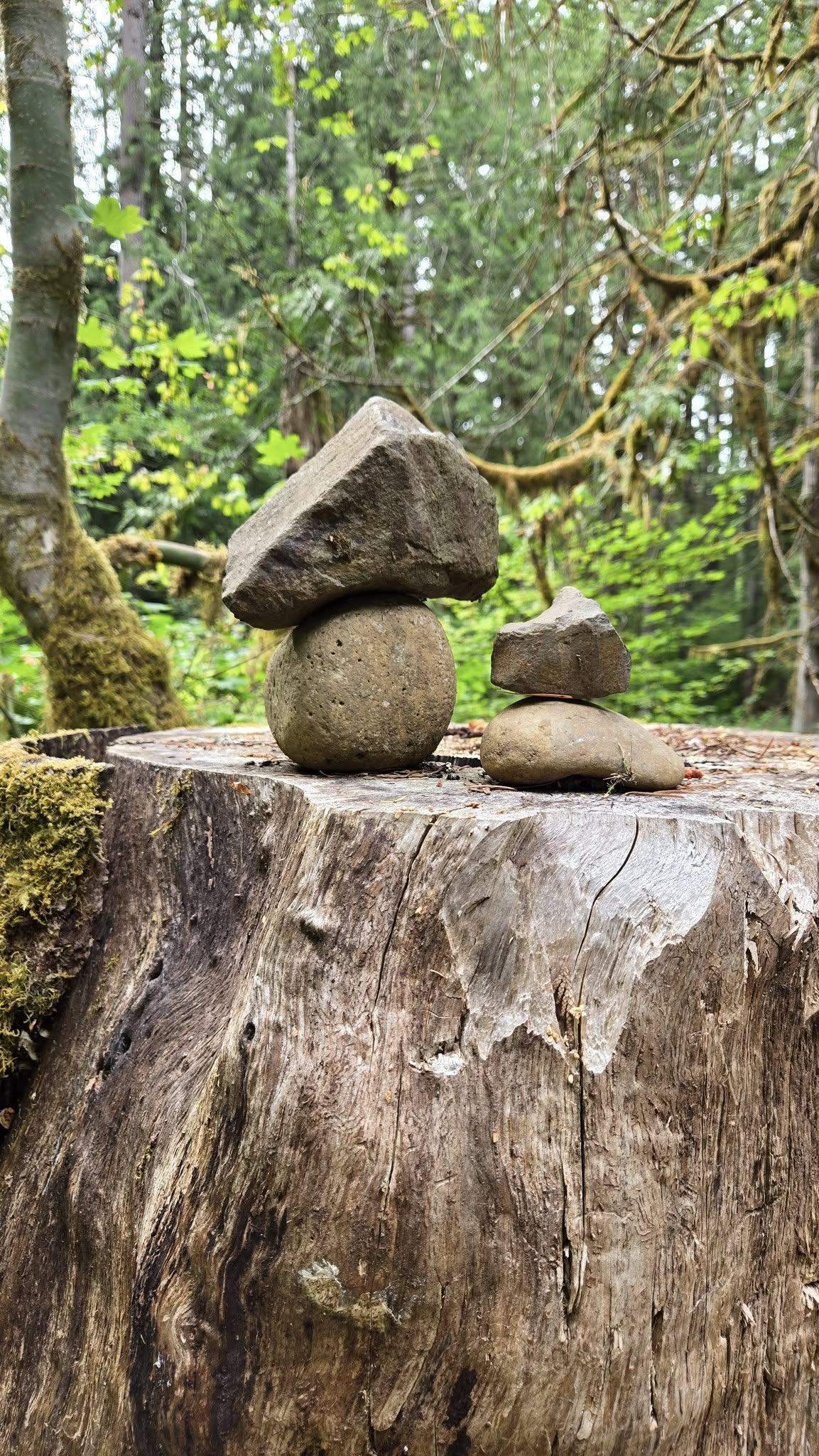 Beachfoot Conference 2024 | NorthWestBigfoot.com