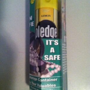 Hide a Safe - Pledge