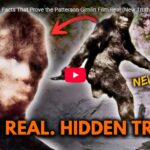 For more than fifty years the Patterson‑Gimlin Film has been the single most famous and most contested piece of evidence in the Bigfoot debate; this episode presents a radical reexamination. Using Todd Gatewood’s frame‑by‑frame restoration of the original 1967 footage and technical analysis from Hollywood effects veteran Bill Munns, we reveal two measurable, hard‑to‑replicate characteristics in the film