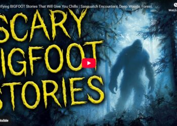 12 Terrifying BIGFOOT Stories That Will Give You Chills Sasquatch Encounters